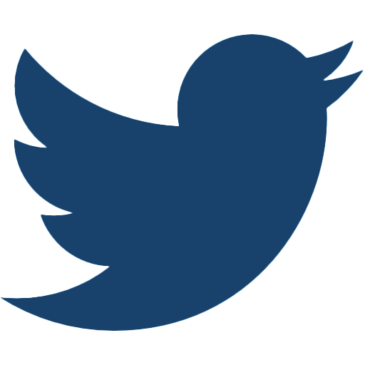 Twitter Icon