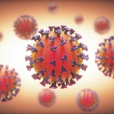 picture of coronavirus