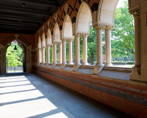 ivy league schools